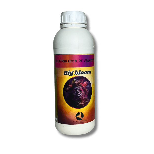 Botella blanca de Big Bloom con etiqueta naranja y verde, un estimulador de floración diseñado para potenciar el crecimiento de cogollos grandes, resinosos y compactos en las plantas.