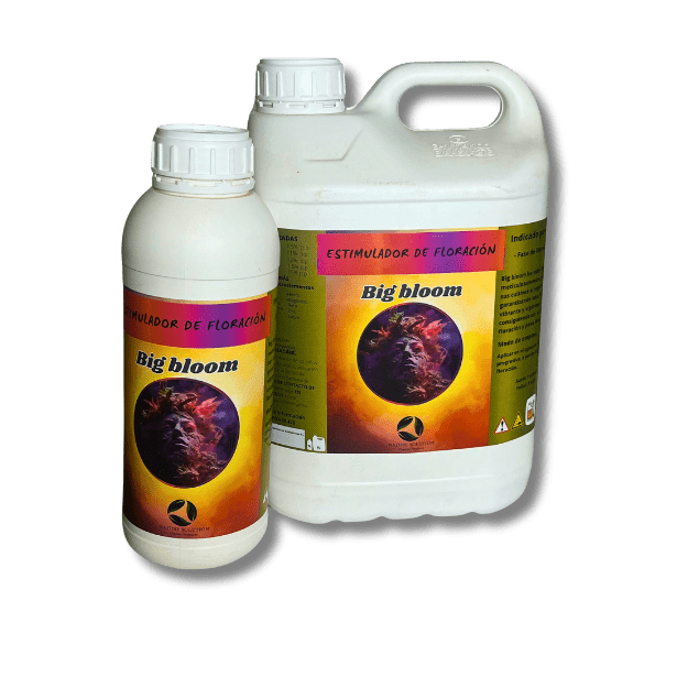 Botella blanca de Big Bloom con etiqueta naranja y verde, un estimulador de floración diseñado para potenciar el crecimiento de cogollos grandes, resinosos y compactos en las plantas.